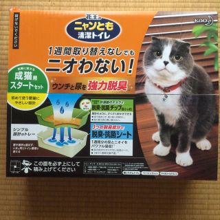 カオウ(花王)のニャンとも清潔トイレ 成猫スタートセット(猫)