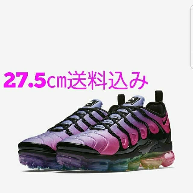 NIKE(ナイキ)のNIKE AIR VAPORMAX PLUS SE “Be True” メンズの靴/シューズ(スニーカー)の商品写真