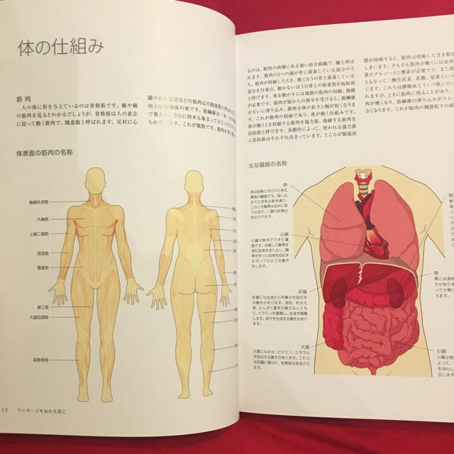 ◇◆マッサージ入門ガイド◆◇ エンタメ/ホビーの本(語学/参考書)の商品写真