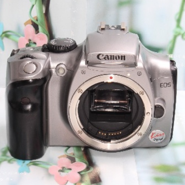 ードが Canon - ️超簡単操作で大人気！！ ️キャノン EOS Kiss Digtal ️の通販 by CAMELIFE SHOP