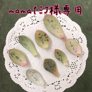 mamaだJ様専用(その他)