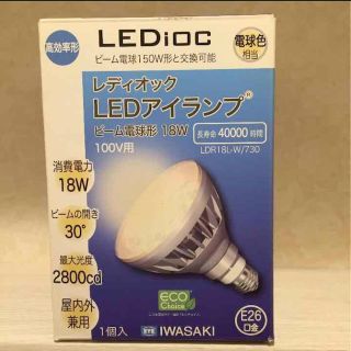 岩崎 レディオック 激安 LEDビームランプ  iwasaki 新品 送料無料(その他)