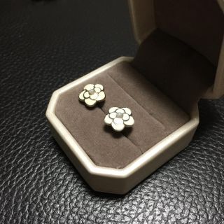 白いお花のピアス(ピアス)