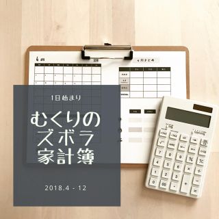 【1日始まり】むくりのズボラ家計簿(その他)