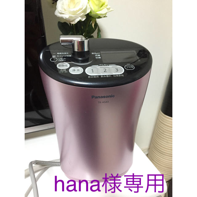 パナソニック TK-AS43 浄水器 (シルバー)
