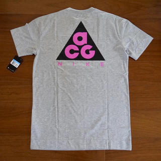 ナイキ(NIKE)のMサイズ NIKE ACG Tシャツ 海外限定カラー  新品(Tシャツ/カットソー(半袖/袖なし))