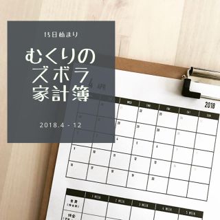 【15日始まり】むくりのズボラ家計簿(その他)