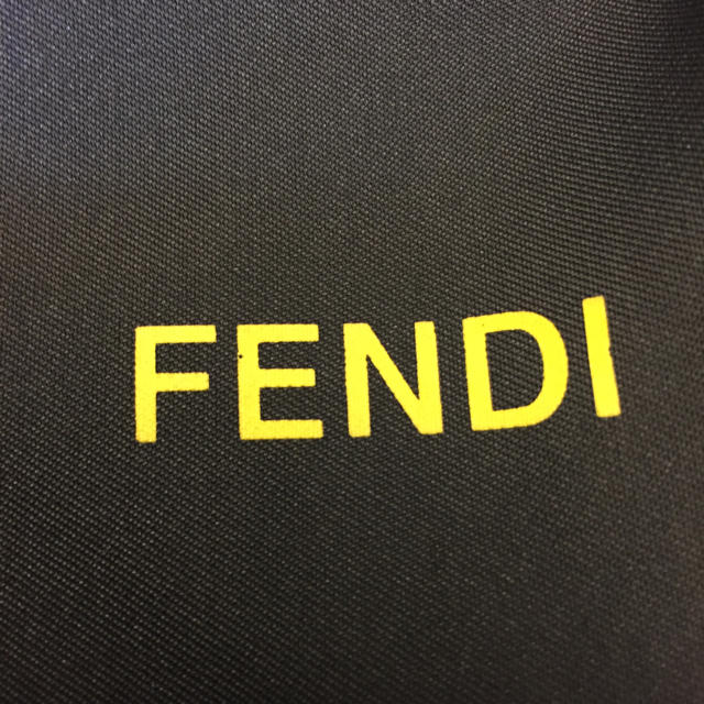 FENDI(フェンディ)のFENDI 洋服 カバー レディースのファッション小物(その他)の商品写真