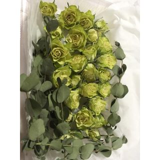 激レア！グリーンの薔薇☆バラ☆プリザヘッド☆ユーカリおまけ付き(プリザーブドフラワー)