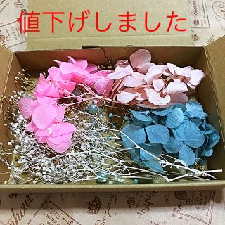 ハーバリウム 花材  あじさい かすみ草 ⑤(その他)