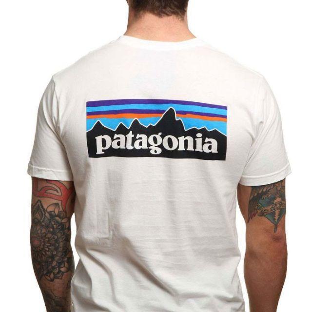 パタゴニア patagonia S/S P6 LOGO オーガニックT