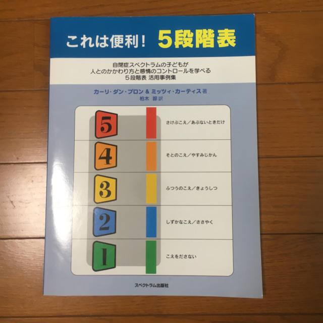 これは便利！５段階表 エンタメ/ホビーの本(住まい/暮らし/子育て)の商品写真