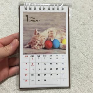 ★卓上カレンダー★猫★2018★新品未開封★(カレンダー/スケジュール)