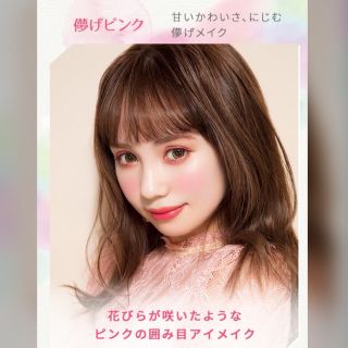 エチュードハウス(ETUDE HOUSE)のlotu様専用 ２点セット(アイシャドウ)