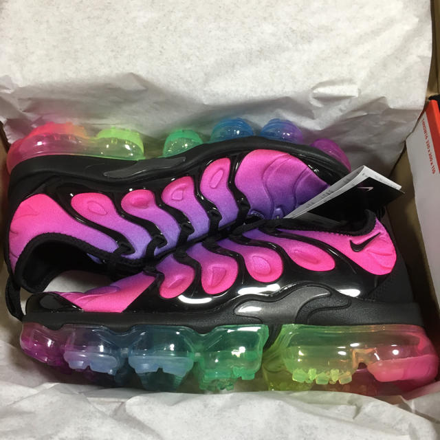 NIKE(ナイキ)の24.0cm NIKE AIR VAPORMAX PLUS BE TRUE レディースの靴/シューズ(スニーカー)の商品写真