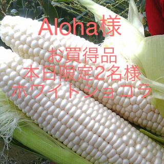 Aloha様お買得品 ホワイトショコラ(野菜)