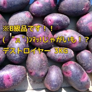 B級品 3kg (　ﾟдﾟ)ﾝﾏｯ!じゃがいも!? デストロイヤー(野菜)