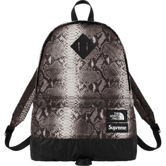 Supreme the north face backpack snake黒