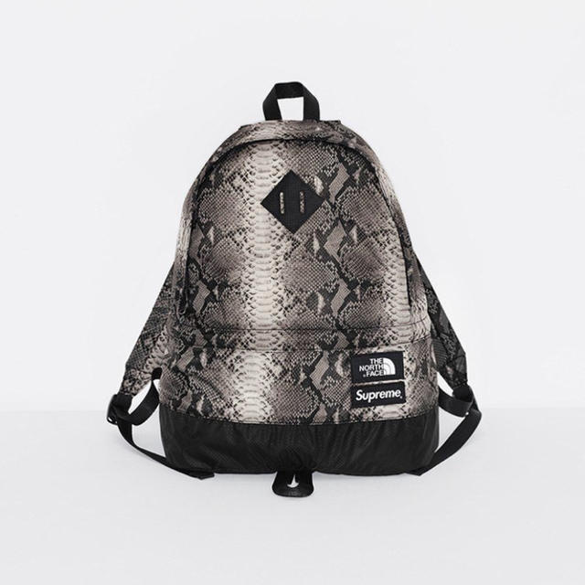 Supreme The North FaceLightweightDayPack