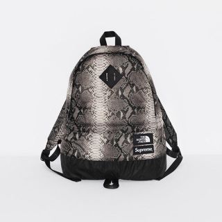 シュプリーム(Supreme)のSupreme The North FaceLightweightDayPack(バッグパック/リュック)