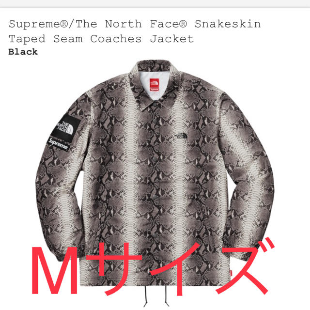 Supreme(シュプリーム)のsupreme  the north face メンズのジャケット/アウター(マウンテンパーカー)の商品写真