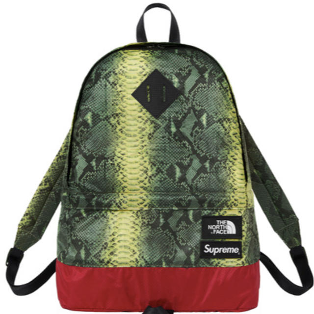 Supreme®/The North Face® Day Pack リュック