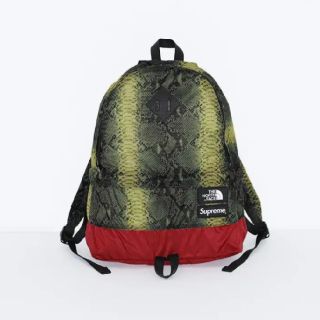 シュプリーム(Supreme)のSupreme The North Face Snakeskin DayPack(バッグパック/リュック)