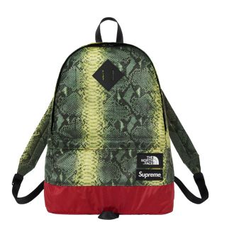 シュプリーム(Supreme)のSupreme The North Face Snakeskin バックパック(バッグパック/リュック)