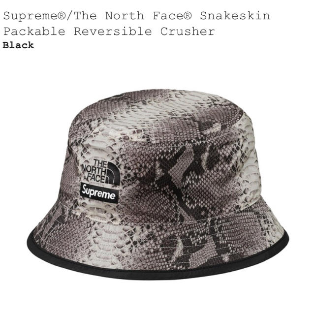 Supreme The North Face Snakeskin Hat