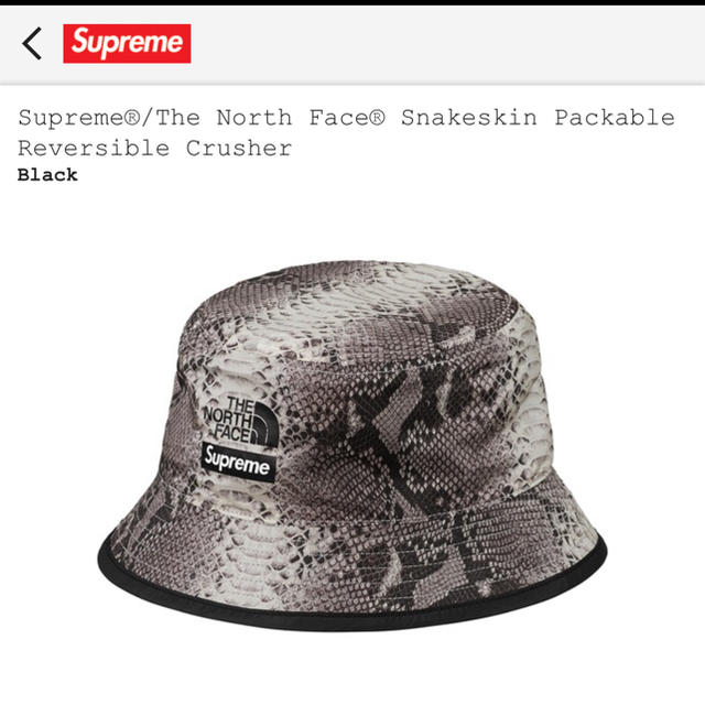 supreme The North Face 黒 black S/M