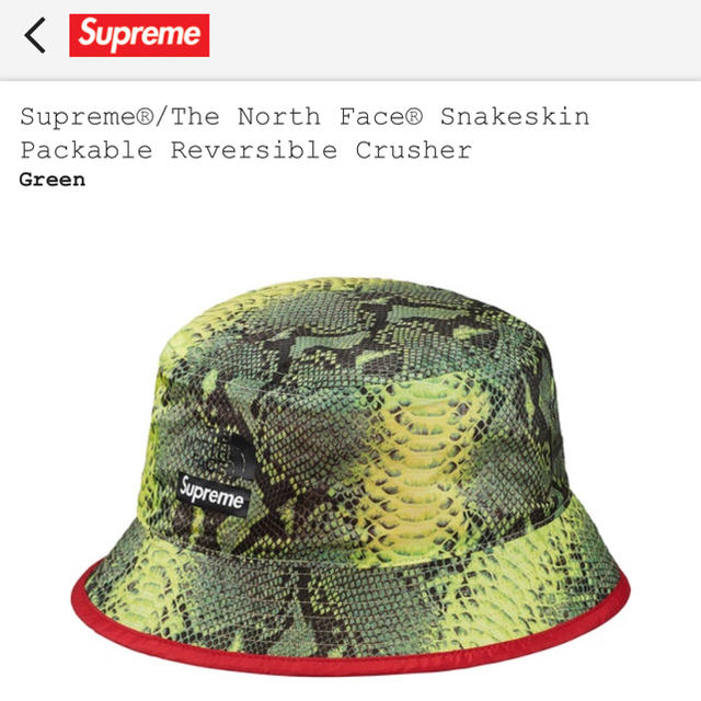 supreme thenorthface snakeskin L