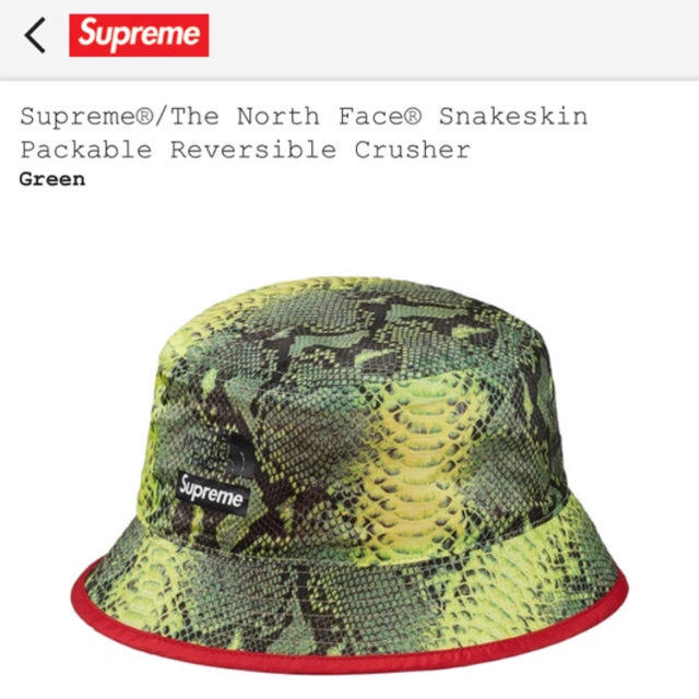 Supreme North Face Snakeskin Crusher