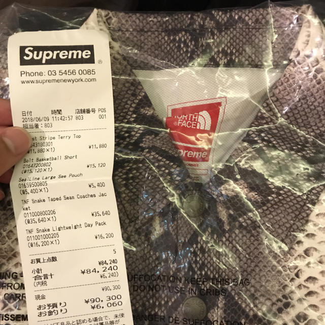 supreme the north face