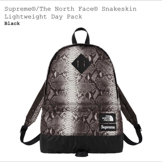 Supreme The North Face Day Pack バックパック 黒バッグパック/リュック