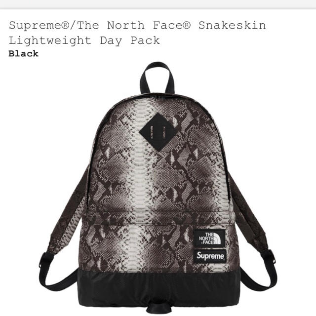 Supreme Snakeskin Light Weight Day Packバッグ