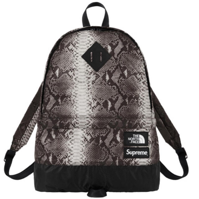 SupremThe North Face SnakeskinBlack購入先