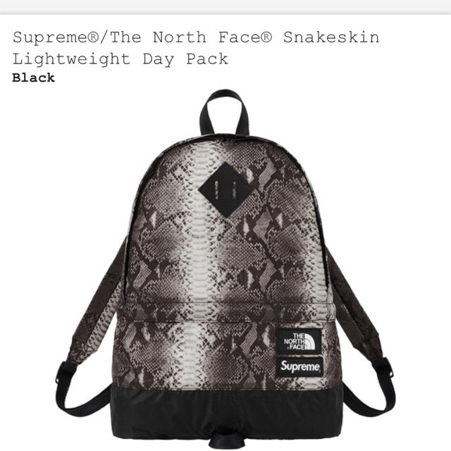 supreme north Face backpackバッグパック/リュック