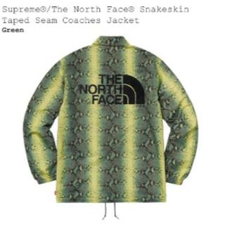 シュプリーム(Supreme)のSupreme×The North Face ジャケット Mサイズ(ナイロンジャケット)