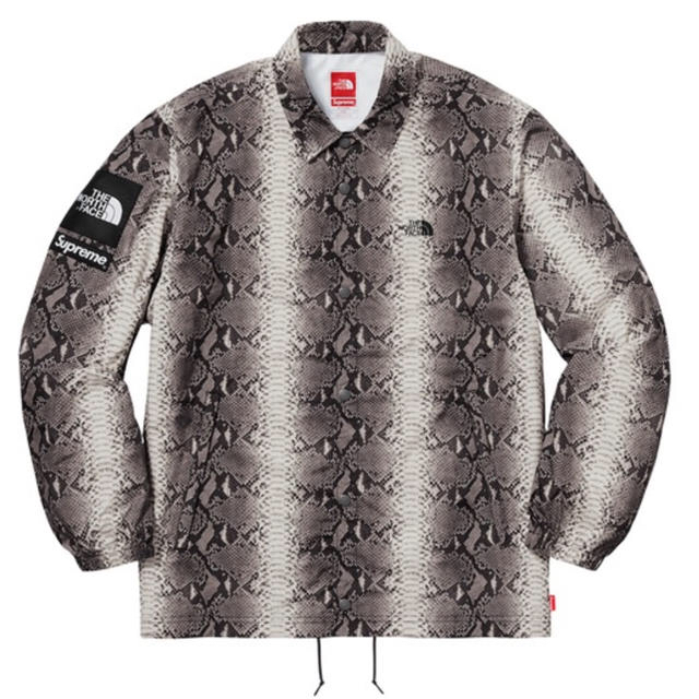 ナイロンジャケットSupreme North Face Snakeskin Coach M