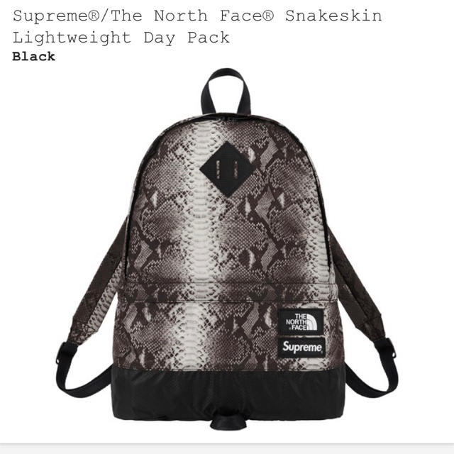 バッグSupreme®/The North Face®Lightweight Pack