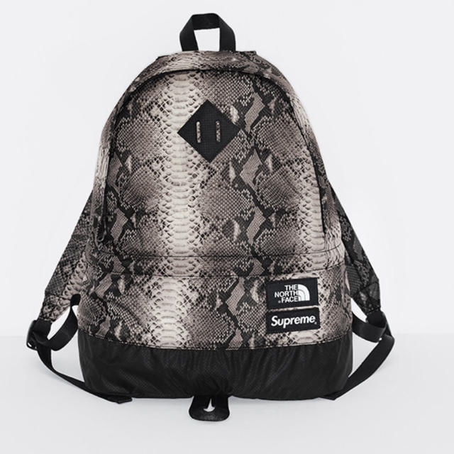 バッグsupreme north face daypack