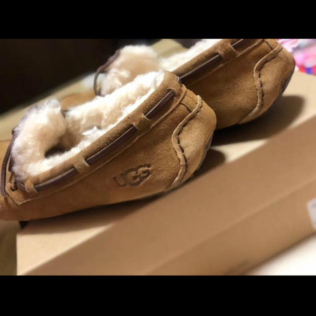 UGG(アグ)のUGG モカシン DAKOTA 26★値下げ中★ レディースの靴/シューズ(スリッポン/モカシン)の商品写真