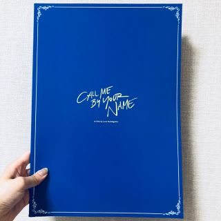 ☆週末限定price☆君の名前で僕を呼んで 豪華版パンフレット(印刷物)