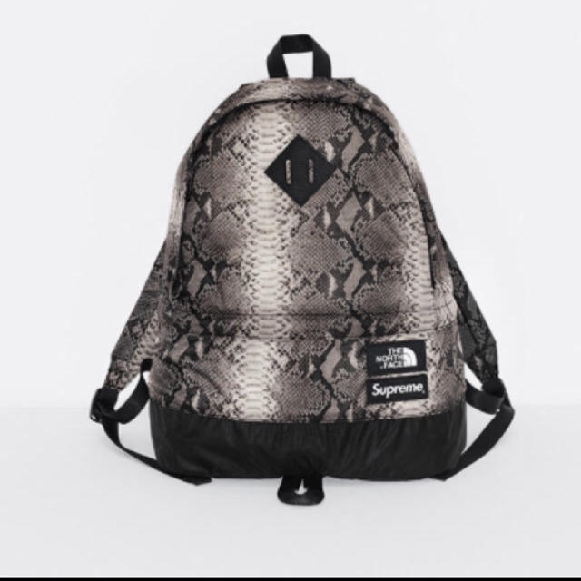 Snakeskin Lightweight Day Pack