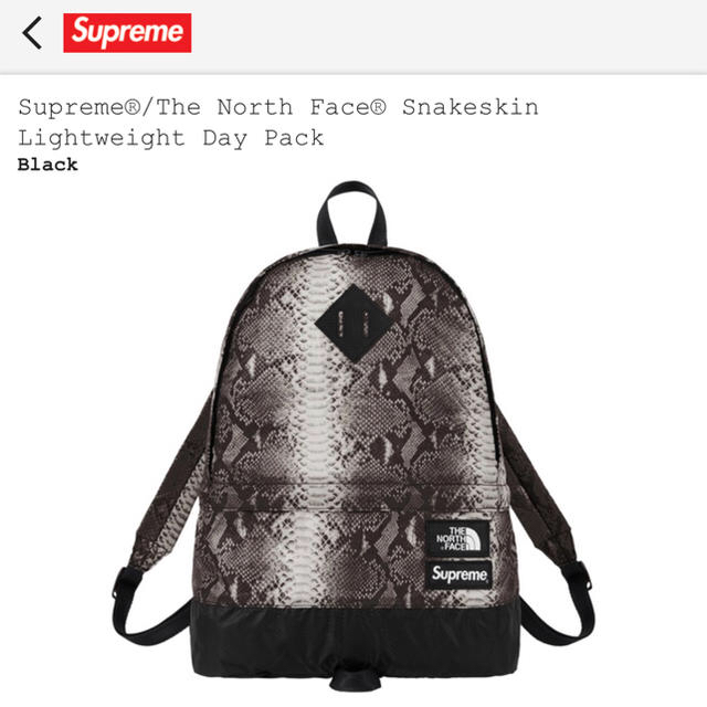 メンズSupreme Snakeskin Lightweight Day Pack