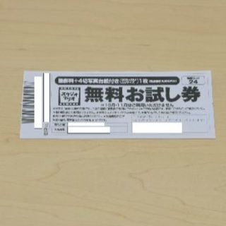 スタジオマリオ無料お試し券　追跡番号付のレターパックライトで発送します。(その他)