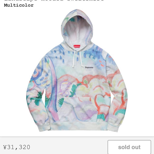 メンズ最安値 sサイズ 定価以下 supreme landscape hoodie