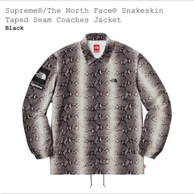 Supreme  The North Face snakeskin jacket商品説明