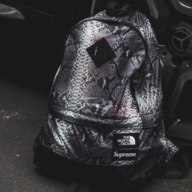 Supreme The North Face Day Pack バックパック