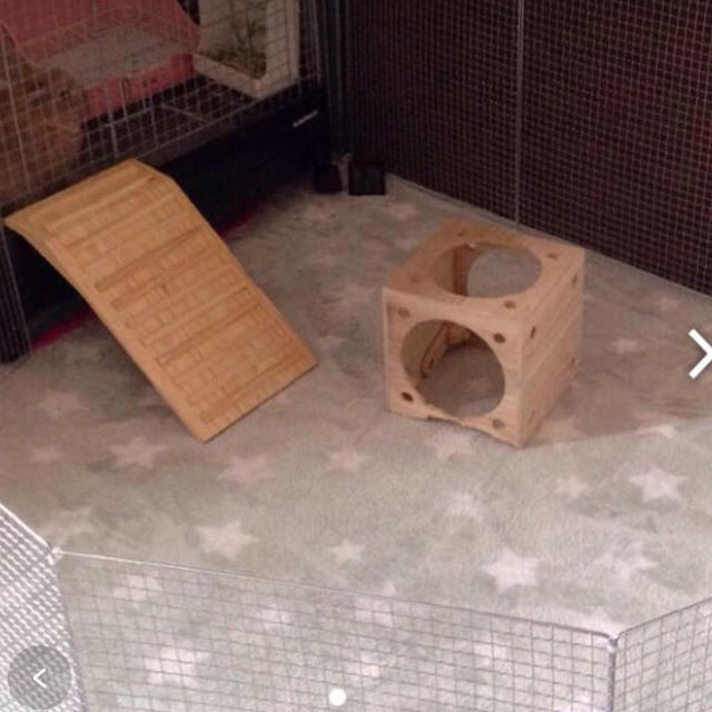 うさぎ 小動物用 サークル 注文フォームの通販 By ななな S Shop ラクマ うさぎ 小動物用 サークル 注文フォームの通販 By ななな S Shop ラクマ